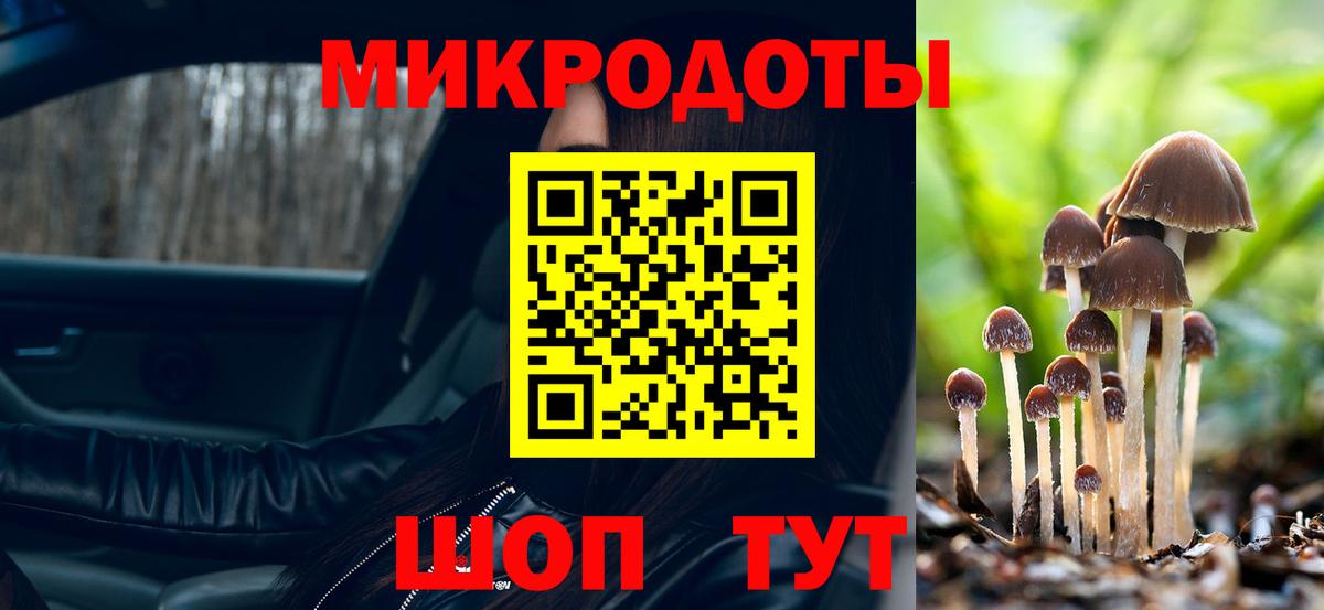 Галлюциногенные грибы Cubensis  Вход с VPN  Псилоцибиновые грибы мухоморы  Кострома 