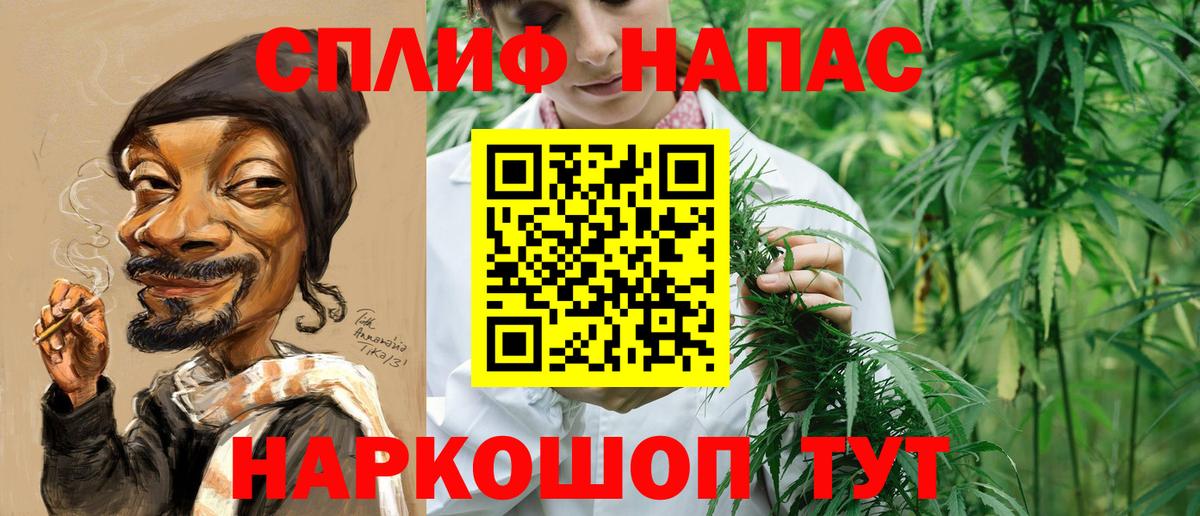 Каннабис семена  Конопля семена  Кострома  Бошки Шишки семена  Вход с VPN 